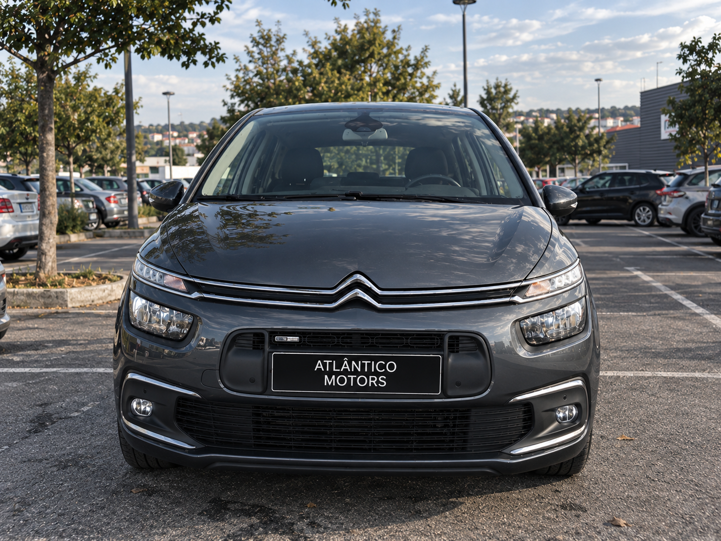 Fotografia 5 do Citroën C4 Picasso