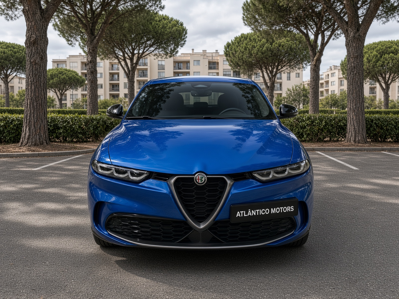 Fotografia 12 do Alfa Romeo Tonale 1.3